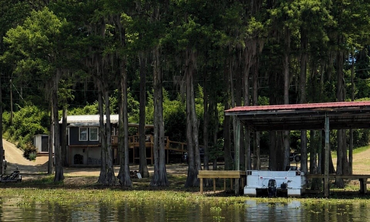Jonesville Cabin | Canvasback Cove on Caddo Lake - Lakefront pet friendly cabin in Jefferson, Tx