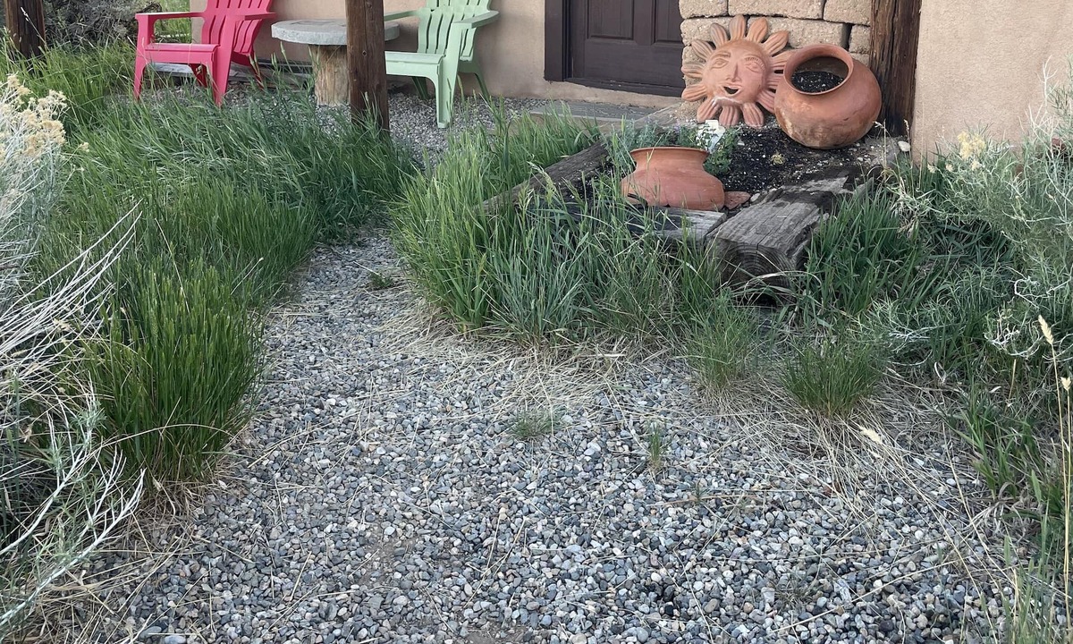 Arroyo Seco Apartment | Casita for skiers and hikers! Taos Ski Valley is 11 miles up the road.