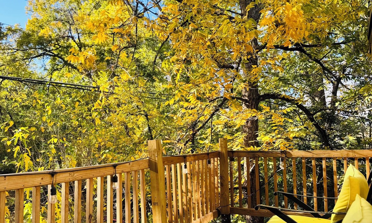 Biggs Field Cabin | Casita Lotus cozy little loft on an Orchard
