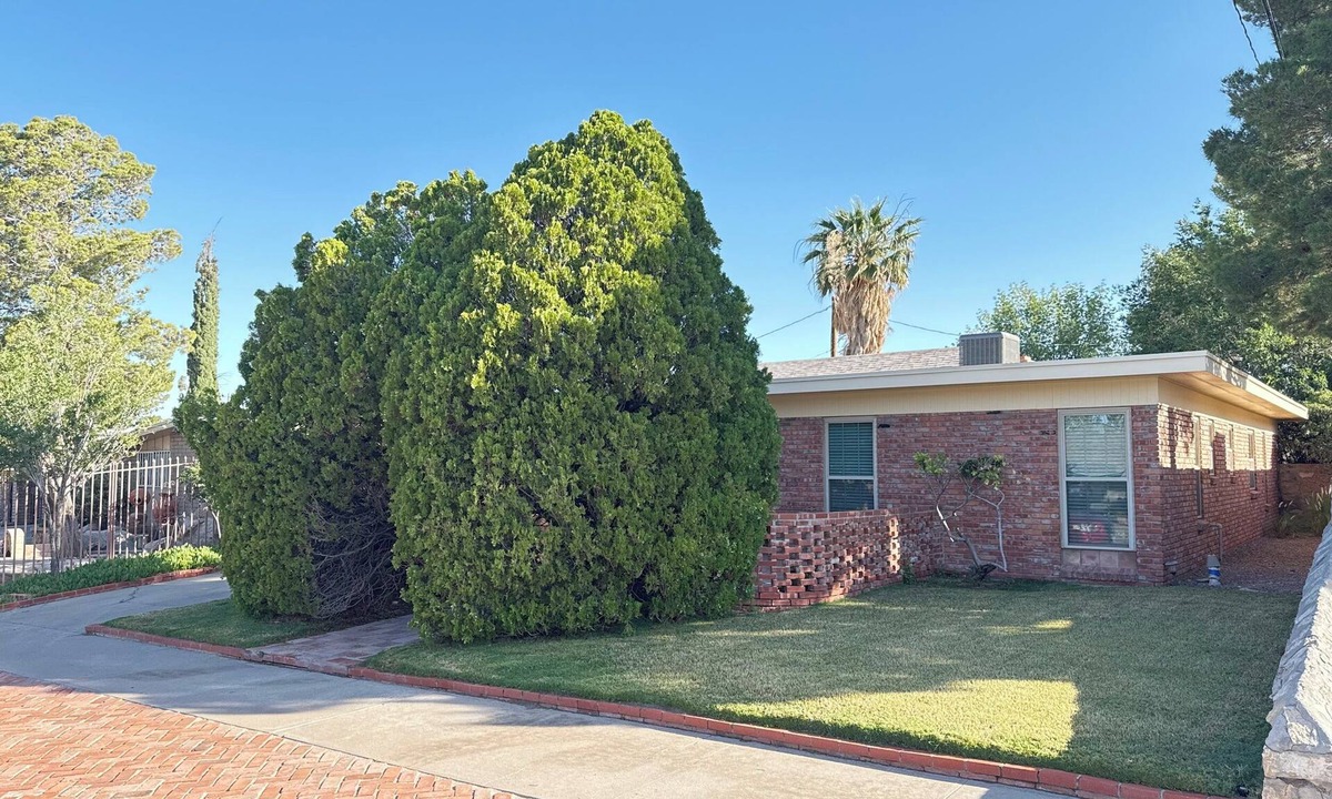 El Paso House | Cozy 3-Bedroom Westside Home Near UTEP - Sleeps 8 With Private Backyard