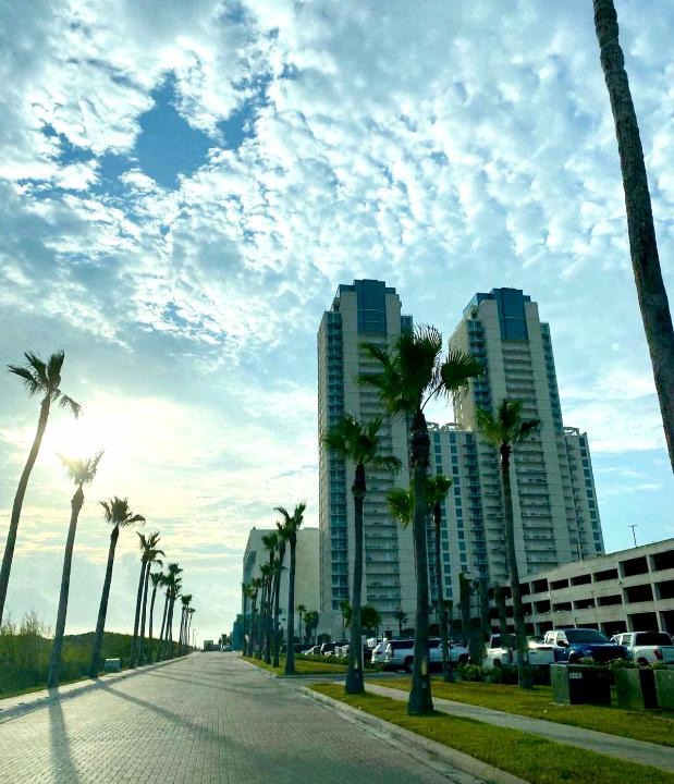 South Padre Island Apartment | My Sapphire South Padre