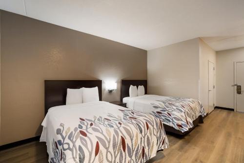 Cortaro Hotel | Red Roof Inn Tucson North - Marana