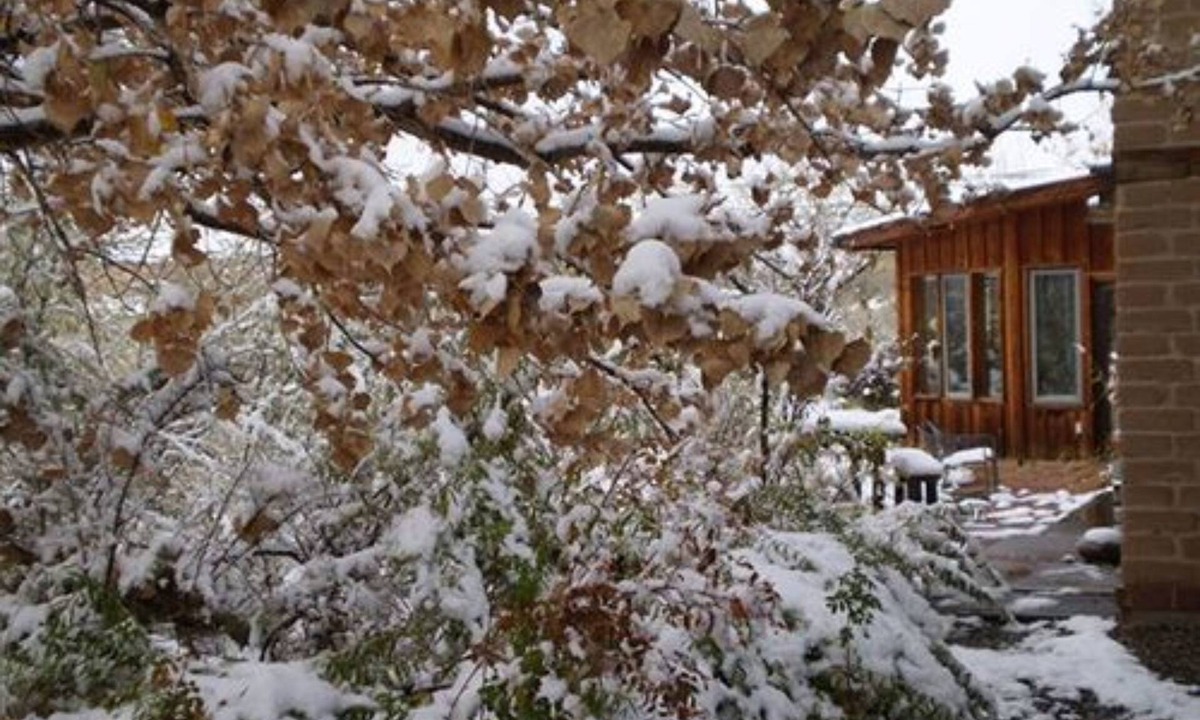 Farmington Bed & Breakfast | Silver River Adobe Inn