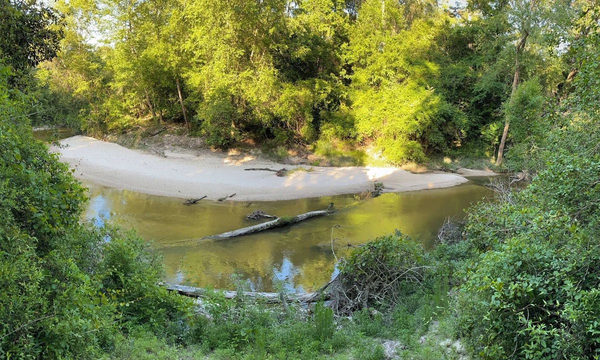 Covington House | Sleepy Lagoon Cottage - On 30 lush acres & just minutes from Downtown Covington!