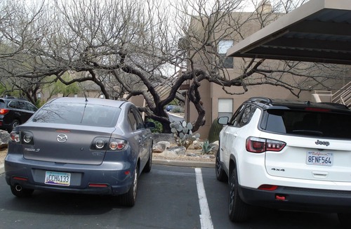 Tucson Condo | 2-bedroom condo just 19 minutes from University of Arizona