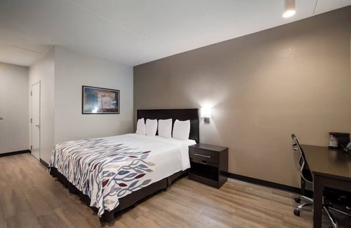 Cortaro Hotel | 2 Scenic Budget Rooms Near Tucson Local Wildlife Spots
