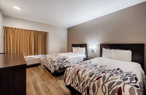 Cortaro Hotel | 2 Units to Relax in a Pet-Friendly Tucson Room Near Golf Courses
