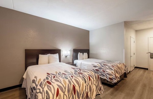 Cortaro Hotel | 2 Units to Relax in a Pet-Friendly Tucson Room Near Golf Courses