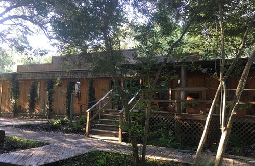 Plantersville Cabin | 3 guest house cabins on 100+ ACRE HORSE RANCH!/POOL/FISHING LAKE!
