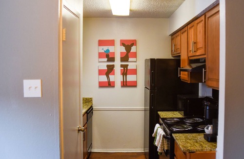 North Arlington Apartment | 6 Mins Away Cowboy/Ranger Stadium Arlington 1bd