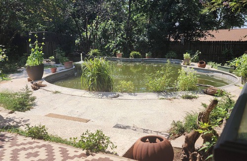North Richland Hills House | A Place for Peace and HOPE: Tranquil RV in North Richland Hills - Pet Friendly