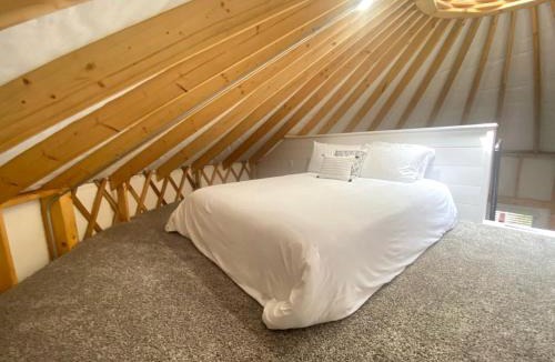Livingston Other | Beautiful Yurt Rental with River Access in Livingston, for Amazing Glamping Escapes in Texas