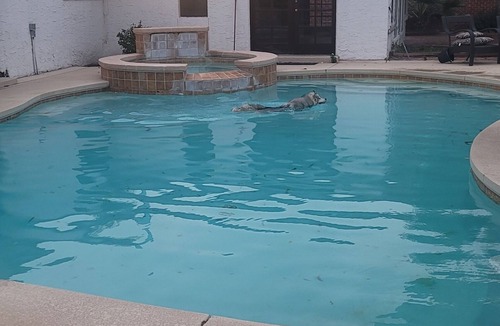El Paso House | Bowen Estates in cul-de-sac large backyard & lots of room. 8024 Bowen Rd El Paso