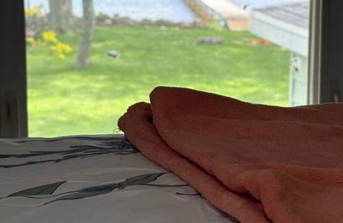 Fox Crossing Cottage | Brighton Beach Cottage/On Lake Winnebago & 25 Min From Lambeau Field