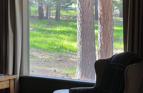Rye Cabin | Cabin on the Creek, with fireplace, game room, fenced-in yard and firepit.