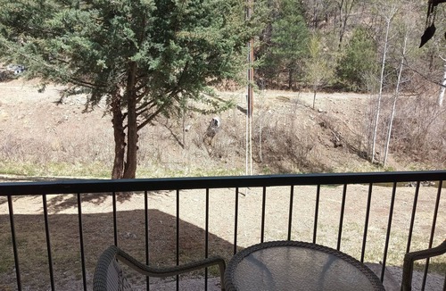 Ruidoso Condo | Charming 1-bedroom condo in superb Ruidoso with WiFi, AC