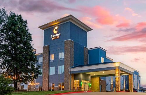 Palestine Hotel | Comfort Suites Palestine