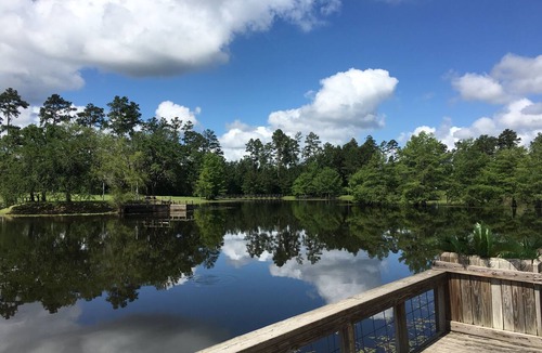 Plantersville House | Cozy 1-bedroom BUNGALOW ON 100+HORSE RANCH.! HUGE POOL/PRIVATE FISHING LAKE!