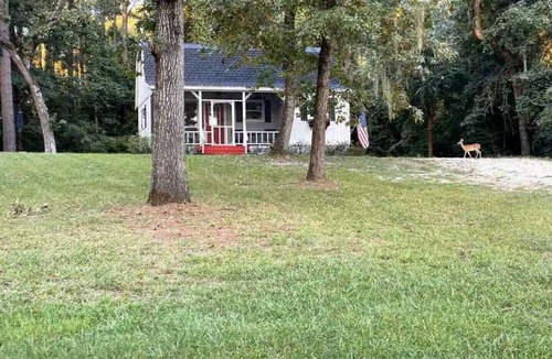 Trinity Cabin | Cozy Cabin 3-Bedroom, Starlink WIFI, wildlife, nearby lake!