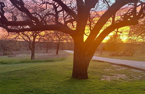 Nocona House | Family- friendly Rustic Cabin on a Peaceful and scencic Farm