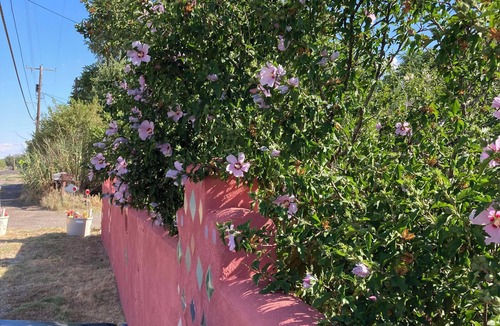 Tyrone House | Getaway close to the Gila wilderness and 5 minutes from downtown Silver City