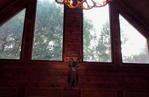 Gordonville Cabin | Log Cabin In The Woods 2 Bed, 2.5 Bath on 5 Acres