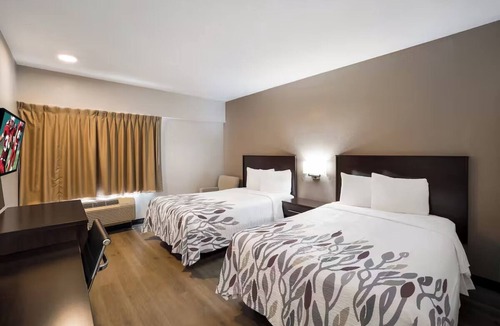 Cortaro Hotel | Modern Room Perfect for Road Trippers Near I-10 – Convenient & Affordable