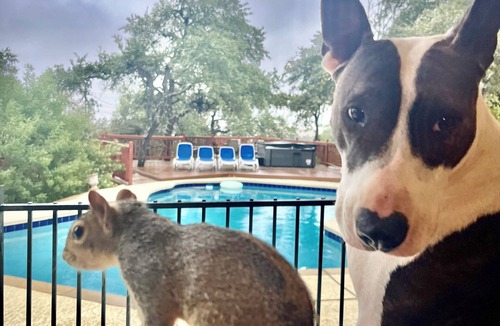 West Oak Hill House | Perfect Getaway! Private Pool, Hot Tub & Dog Run 15 Min to Downtown - CITY VIEWS