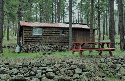 Greer Cabin | QUAINT COZY CABIN near East Fork, weekly and monthly rates, king bed, fireplace