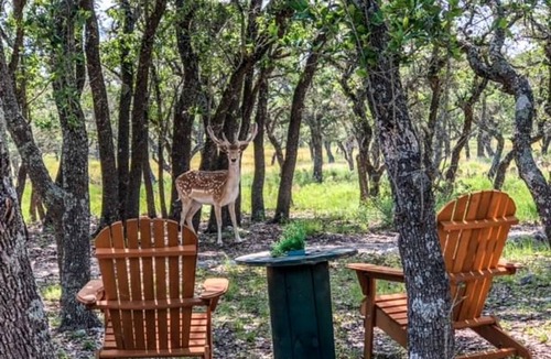 Mountain Home Cabin | Rustic Hill Country Cabin with Milky Way Stargazing & Wildlife Views near Mountain Home, TX
