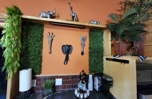 Wise County House | Safari Cabana at Tipsy Toad Retreat