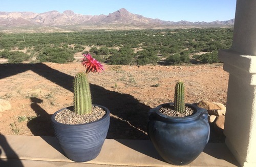 Tumacacori-Carmen House | Scenic View of Santa Cruz River Valley and Mountains