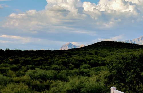 Rio Rico House | Serenity in Sunny Arizona with tons of birds and shade trees! Bike Trail Galore