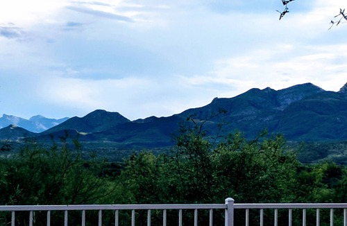 Rio Rico House | Serenity in Sunny Arizona with tons of birds and shade trees! Bike Trail Galore