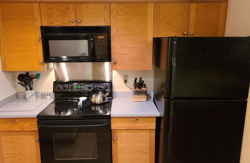 Purgatory Condo | Slopeside Ski-In/Out, Steps to lift,Best Location!