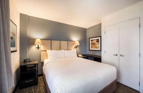 Northeast Heights Hotel | Sonesta Simply Suites Albuquerque Midtown