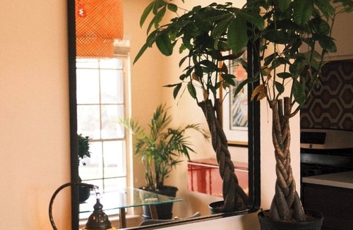 Dawson House | South Congress Retreat - A Vibey Stay Close to Bars, Shops, Music Venues & Hikes