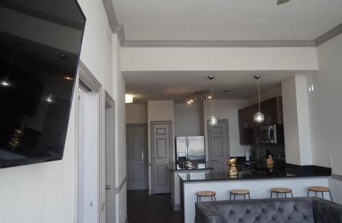 Houston Apartment | Spacious 1BR Mid-rise by NRG - Galleria -MedCenter