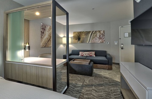 Durango Hotel | Springhill Suites by Marriott Durango