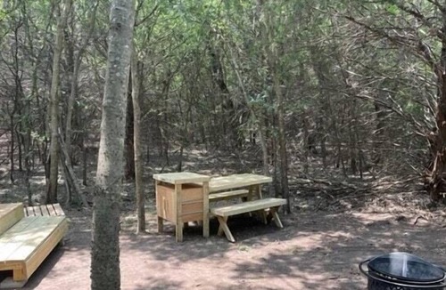 Irene RV Rental | Tentrr Signature Site - Blue Moon Camping (Woods)