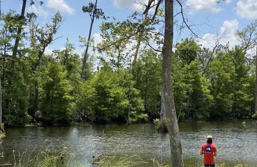Lake Charles RV Rental | Tentrr State Park Site - Louisiana Sam Houston Jones State Park - Lagoon View C