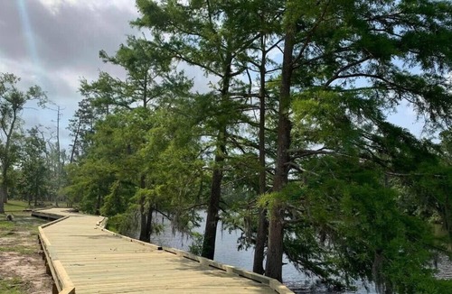 Lake Charles RV Rental | Tentrr State Park Site - Louisiana Sam Houston Jones State Park - Riverview H Si