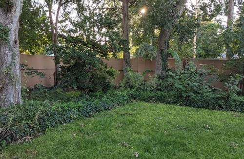 Carlsbad House | The Oasis: Guesthouse w/Lush Shared Yard & Great Location!