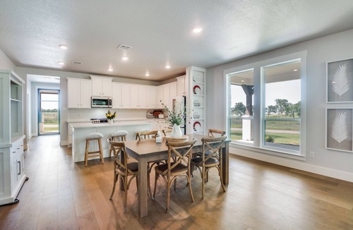 Kerens House | The Perch at Chambers Bay - Spacious, new 4 Bedroom with sweeping lake views