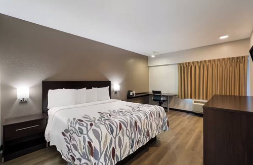 Cortaro Hotel | Unwind After the Road in Clean, Pet-Friendly Room Near Key Tucson Sites