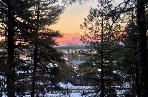 Pagosa Hills Cabin | Views! In The Pines. Custombuilt, 2-bdrm. home, privacy. 3 miles from town.