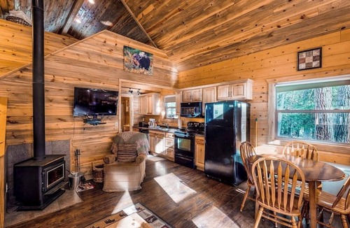 South Fork Cabin | Waterfront cabin with bridge, private hot tub, & WiFi - near National Forest