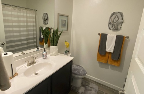 Green Valley House | Wonderful 3 BR House in Sahuarita. Private yard w/putting green. No age limits