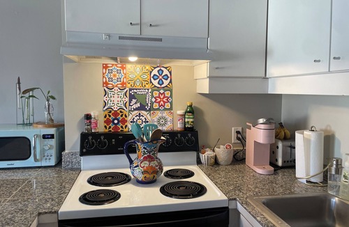 Downtown Houston Apartment | WorldCup Central- Easy access for sports and entertainment.