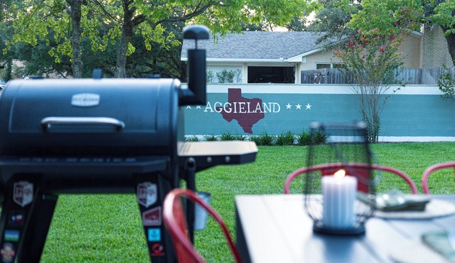 Aggieland: Bar Lounge+Fire Pit+Backyard Haven